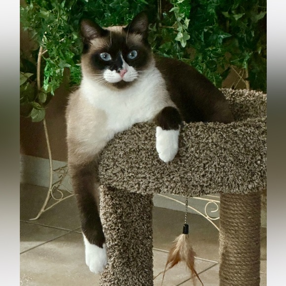 Meet your Posher, Kathi - Picture 4 of 9